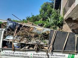 Best Residential Junk Removal  in Casa Grande, AZ